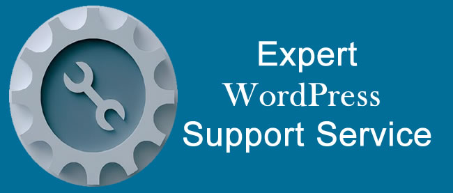 Expert WordPress Support Service