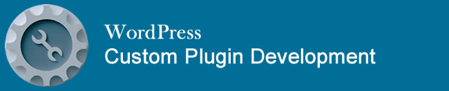 Custom WordPress Plugin Development